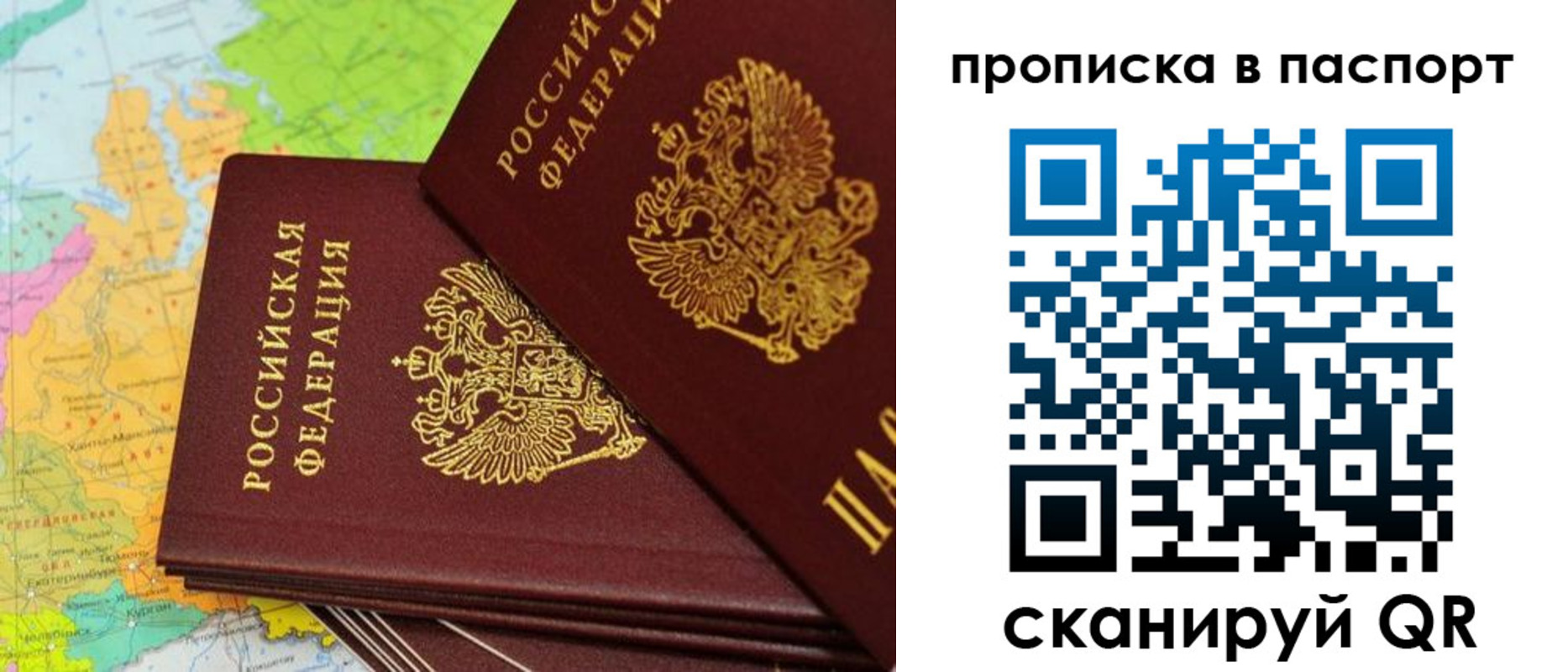 прописка поиск в Камышине